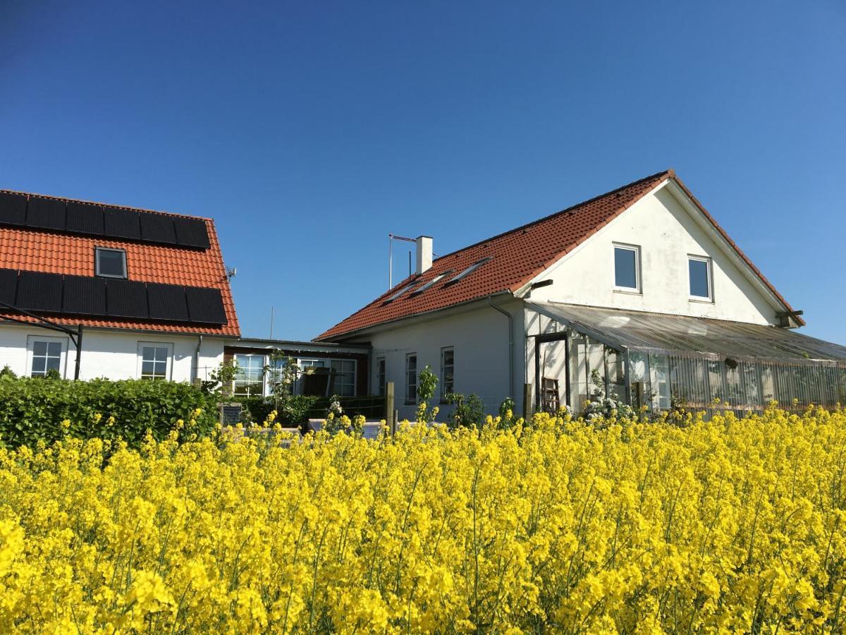 Margretelyst Panzió Farsø Kültér fotó